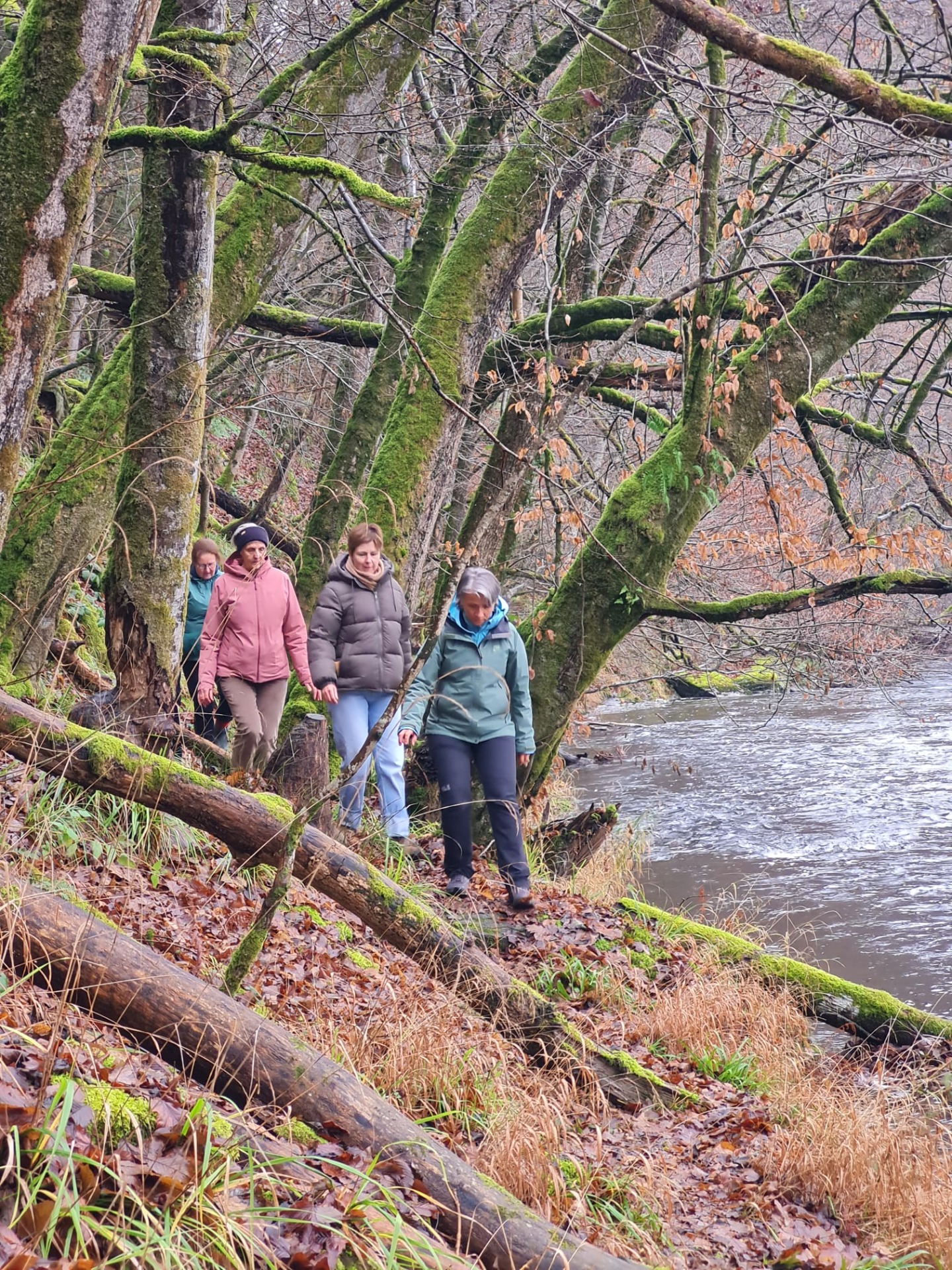 Vier wandelaars lopen langs een beek onder mosrijke bomen met kale takken en gevallen bladeren.