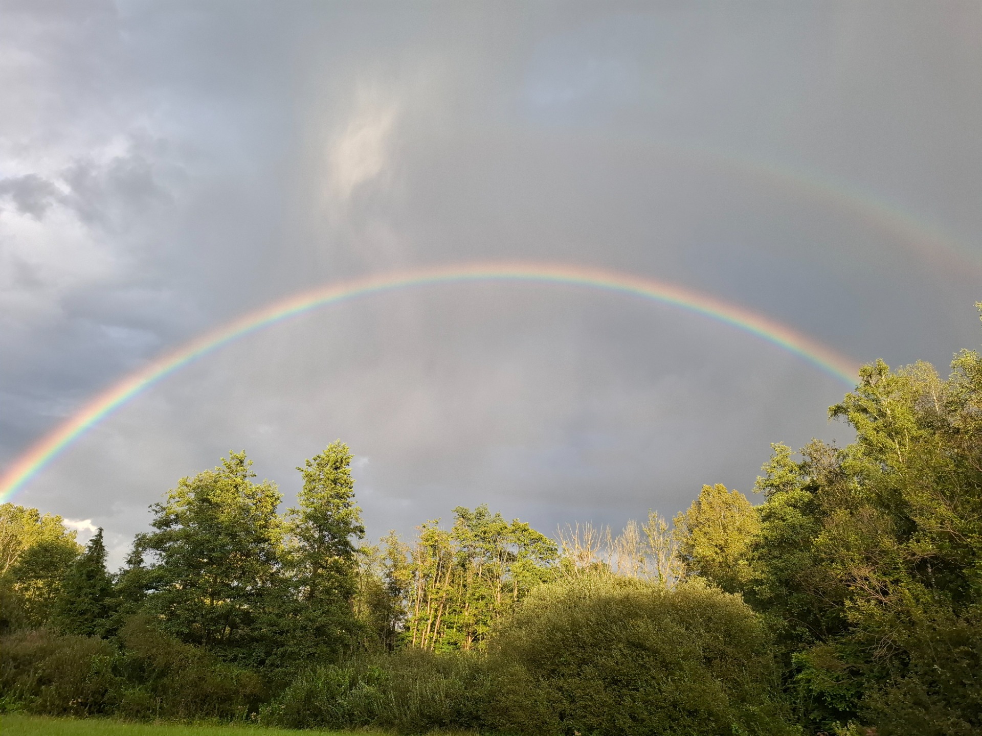 Regenboog boven groene bomen tegen grijze bewolkte lucht, met een lichte dubbele boog in de hemel.